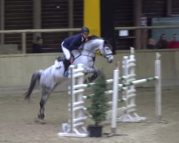 Reitturnier Heidelberg-Kirchheim 2017