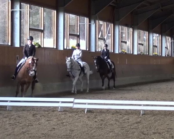 Reitturnier Mettmann - Reitanlage Löckenhoff 2017