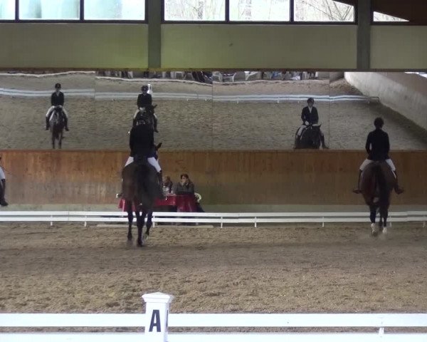 Reitturnier Mettmann - Reitanlage Löckenhoff 2017