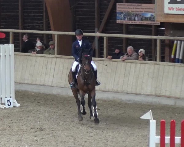 Reitturnier Heidelberg-Kirchheim 2017
