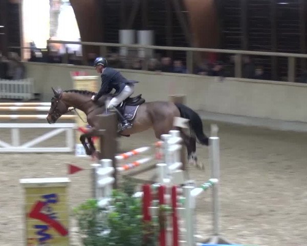 Reitturnier Heidelberg-Kirchheim 2017