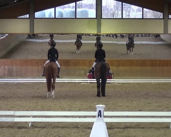 Reitturnier Mettmann - Reitanlage Löckenhoff 2017