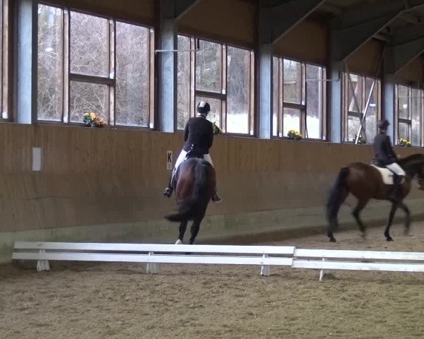 Reitturnier Mettmann - Reitanlage Löckenhoff 2017