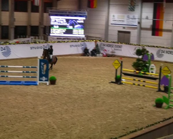 Christmas Jumping Trophy Prussendorf 2021