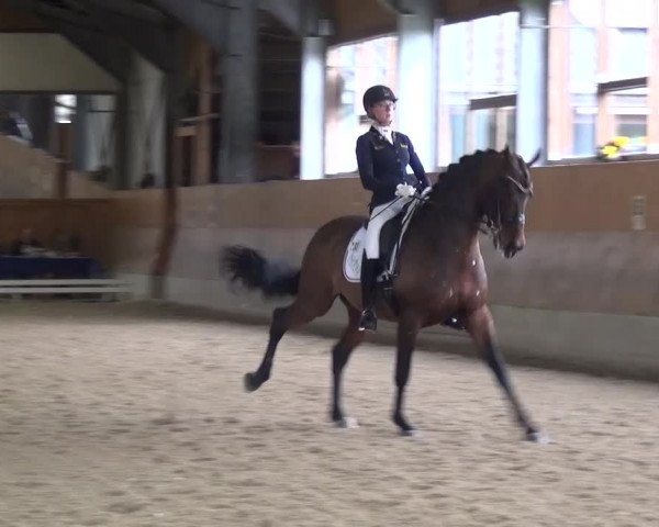 Reitturnier Mettmann - Reitanlage Löckenhoff 2017