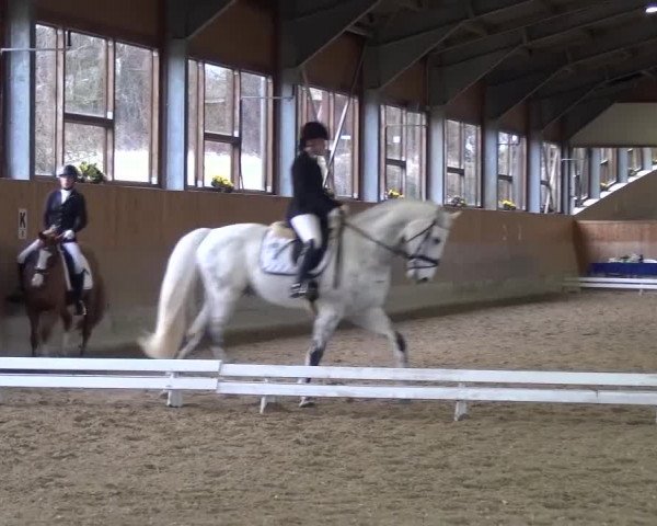 Reitturnier Mettmann - Reitanlage Löckenhoff 2017