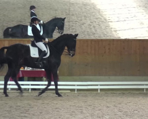 Reitturnier Mettmann - Reitanlage Löckenhoff 2017