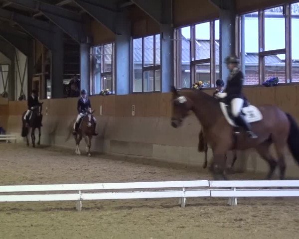 Reitturnier Mettmann - Reitanlage Löckenhoff 2017