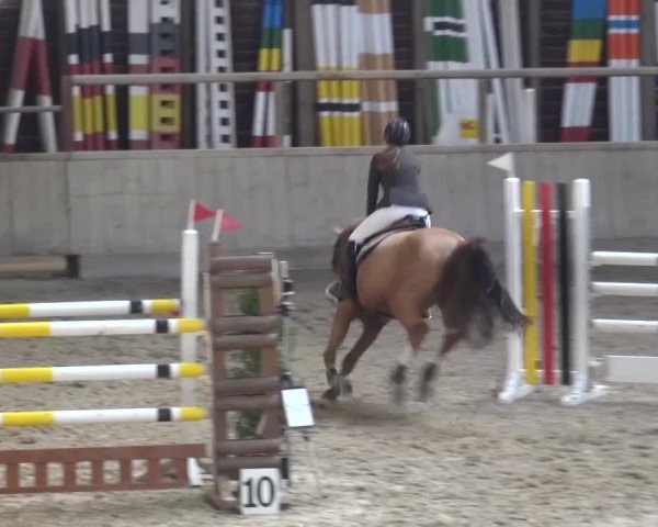 Reitturnier Heidelberg-Kirchheim 2017