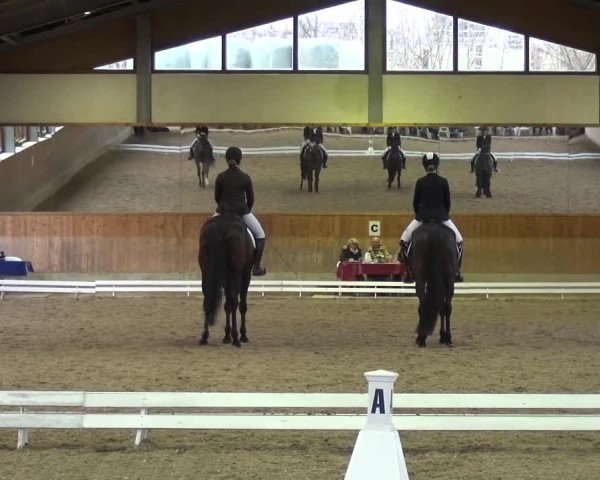 Reitturnier Mettmann - Reitanlage Löckenhoff 2017