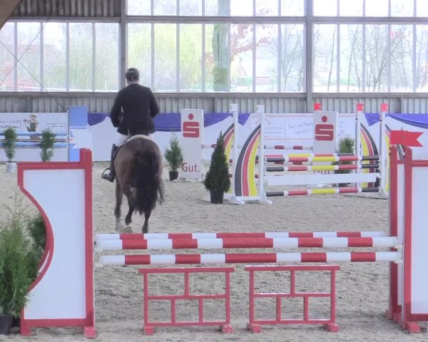 Reitturnier Greven 2017