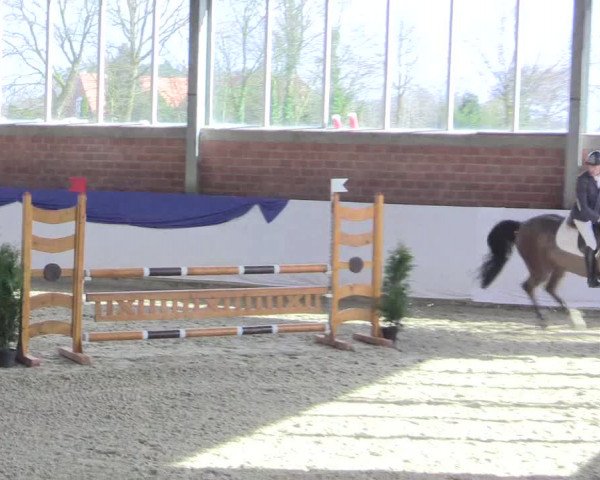 Reitturnier Greven 2017