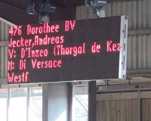 Reitturnier Greven 2017