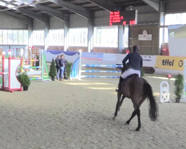 Reitturnier Greven 2017