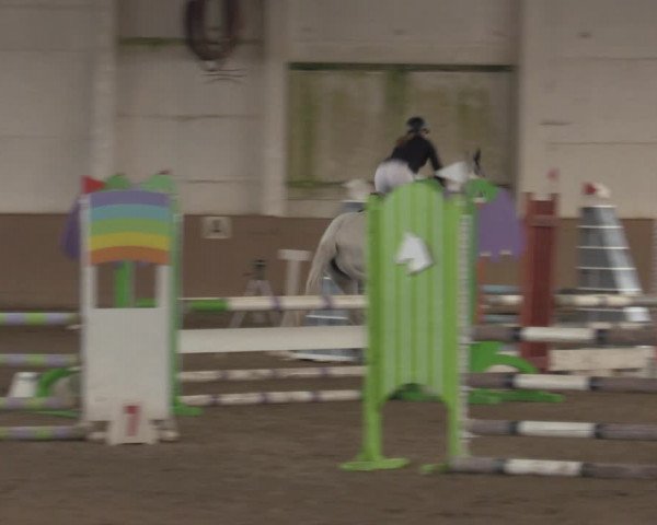 Christmas Jumping Trophy Prussendorf 2021