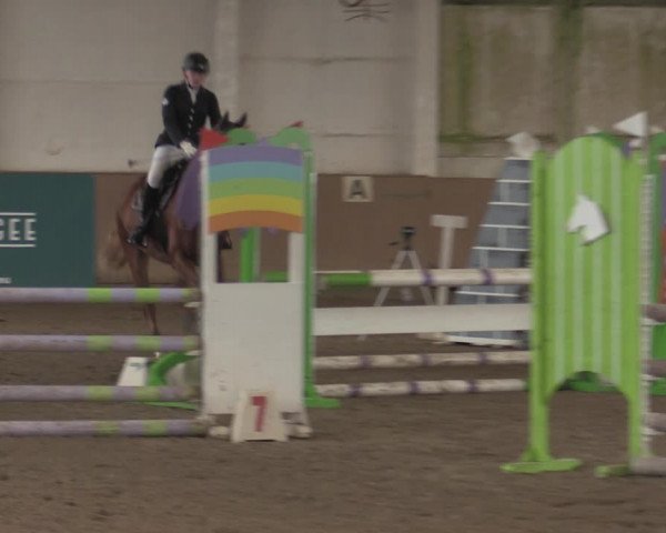 Christmas Jumping Trophy Prussendorf 2021
