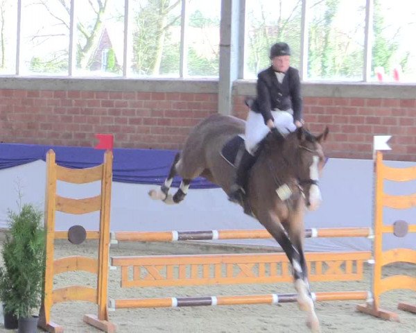 Reitturnier Greven 2017