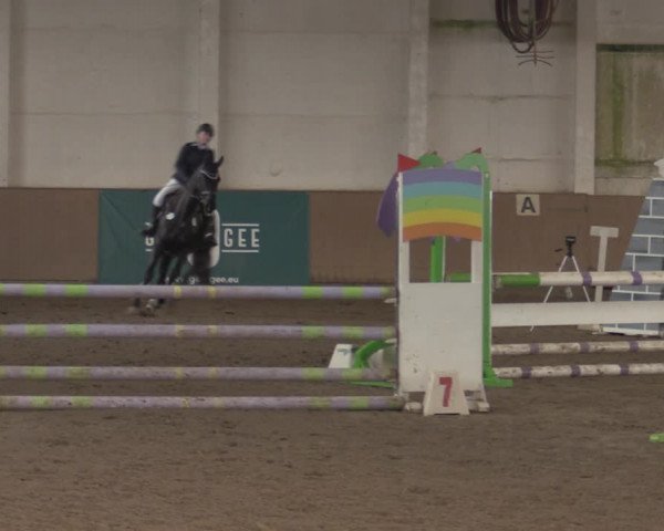 Christmas Jumping Trophy Prussendorf 2021