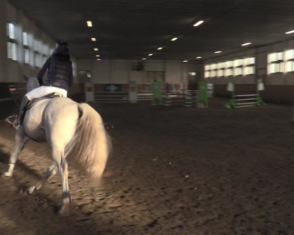 Christmas Jumping Trophy Prussendorf 2021