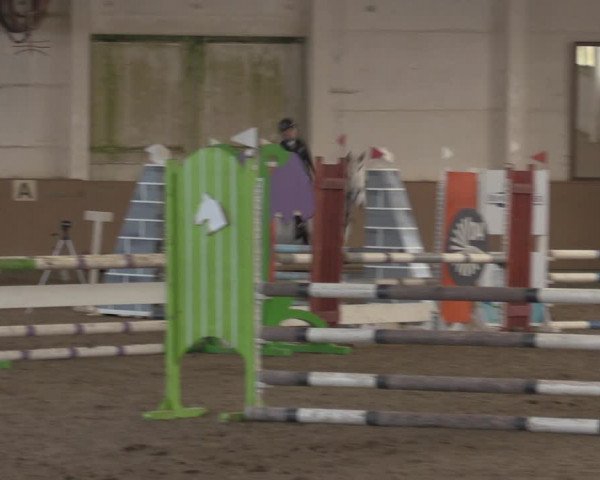 Christmas Jumping Trophy Prussendorf 2021