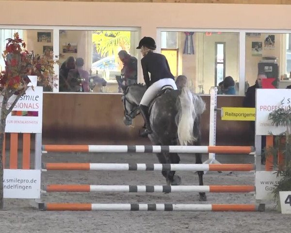 Reitturnier Dettingen 2017