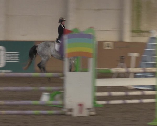 Christmas Jumping Trophy Prussendorf 2021