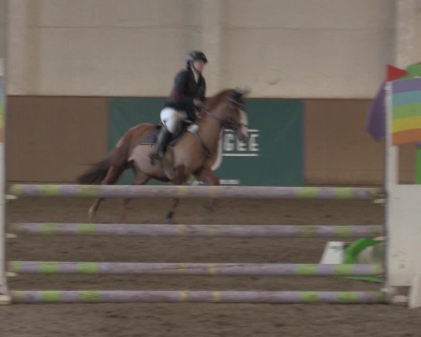 Christmas Jumping Trophy Prussendorf 2021