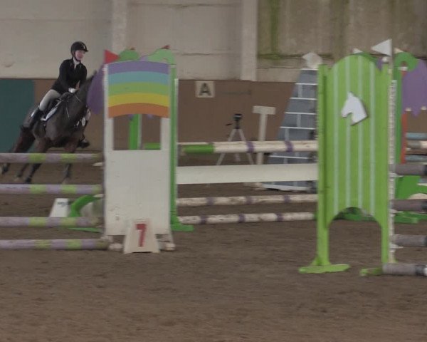 Christmas Jumping Trophy Prussendorf 2021