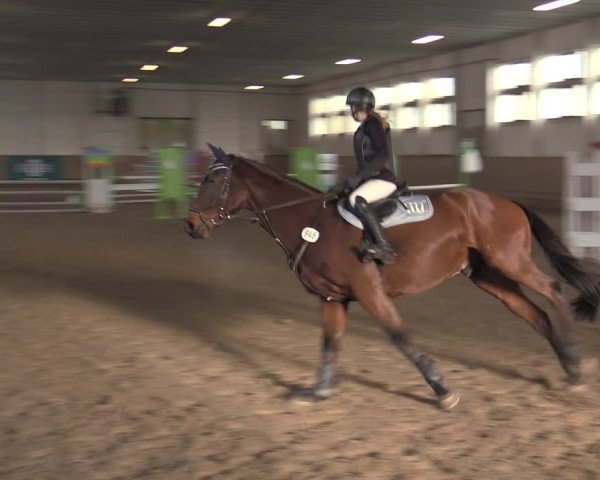 Christmas Jumping Trophy Prussendorf 2021