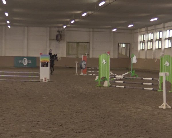 Christmas Jumping Trophy Prussendorf 2021