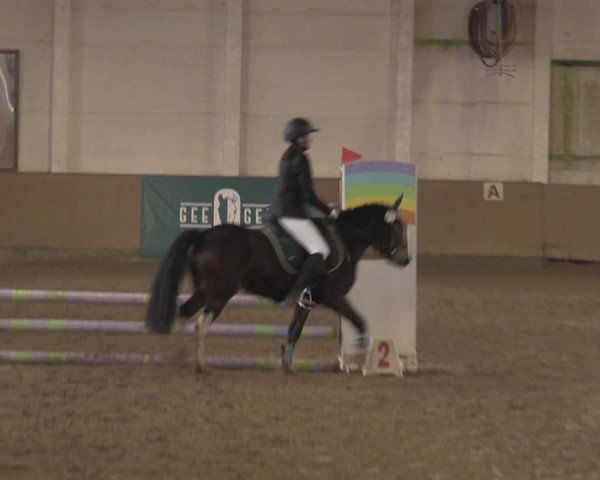 Christmas Jumping Trophy Prussendorf 2021