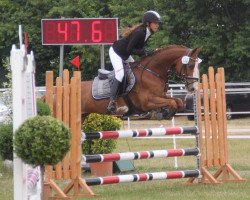 jumper Holsteins Denver (German Riding Pony, 2009, from Denver 184)