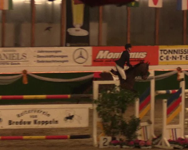 Reitturnier Keppeln  - Reitanlage "Hötzenhof" 2017