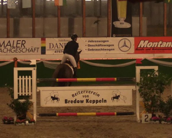 Reitturnier Keppeln  - Reitanlage "Hötzenhof" 2017