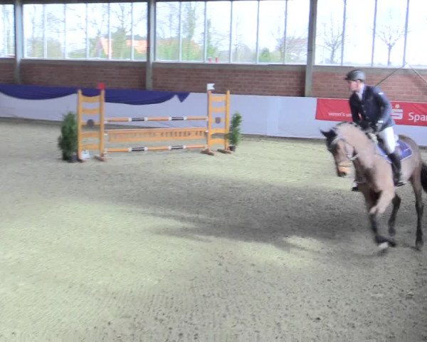 Reitturnier Greven 2017