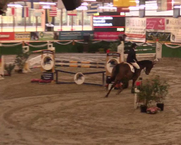 Reitturnier Keppeln  - Reitanlage "Hötzenhof" 2017