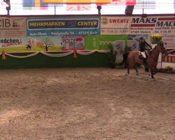 Reitturnier Keppeln  - Reitanlage "Hötzenhof" 2017
