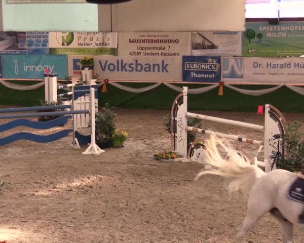 Reitturnier Keppeln  - Reitanlage "Hötzenhof" 2017