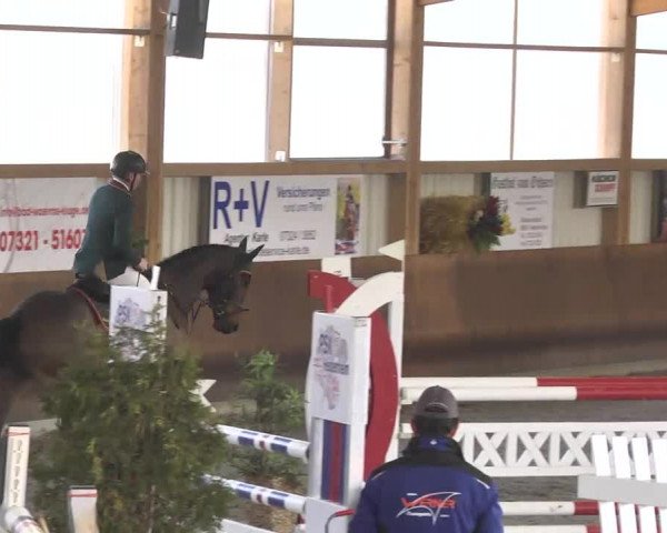 Reitturnier Dettingen 2017