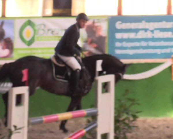 Reitturnier Keppeln  - Reitanlage "Hötzenhof" 2017