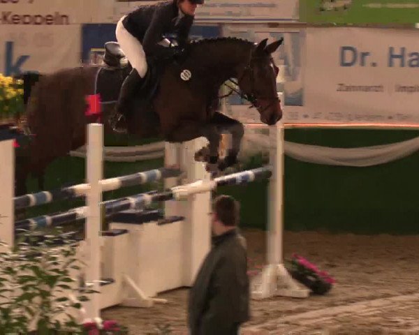 Reitturnier Keppeln  - Reitanlage "Hötzenhof" 2017