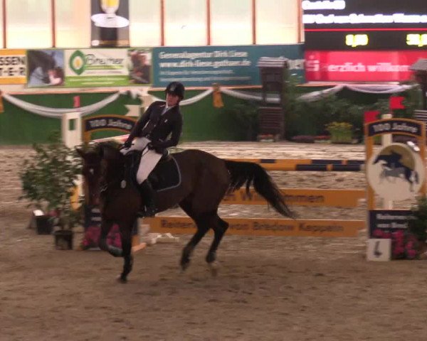 Reitturnier Keppeln  - Reitanlage "Hötzenhof" 2017