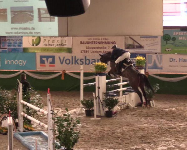 Reitturnier Keppeln  - Reitanlage "Hötzenhof" 2017