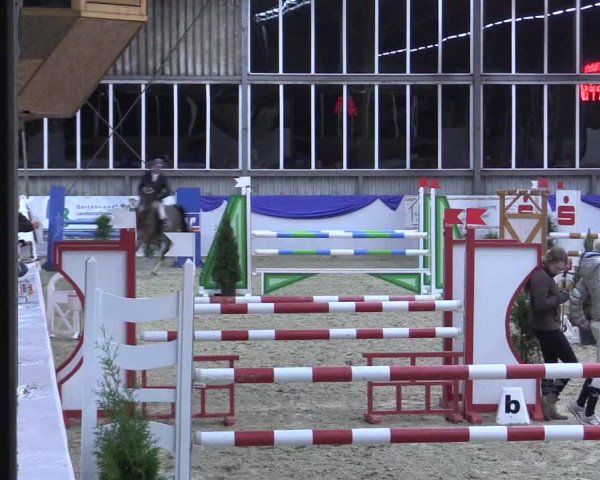 Reitturnier Greven 2017