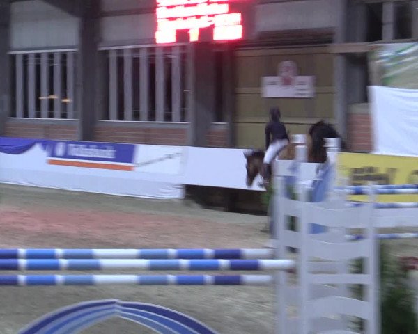 Reitturnier Greven 2017