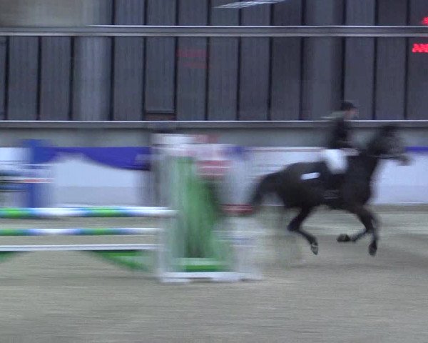 Reitturnier Greven 2017
