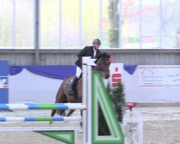 Reitturnier Greven 2017