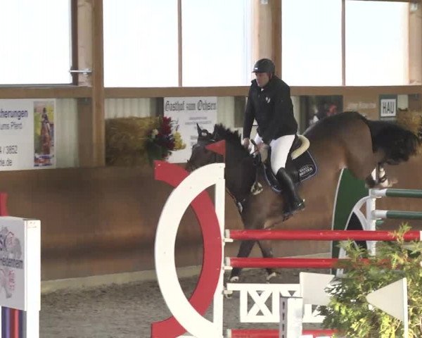 Reitturnier Dettingen 2017