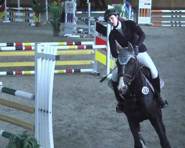 Reitturnier Dettingen 2017