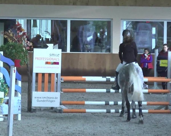 Reitturnier Dettingen 2017